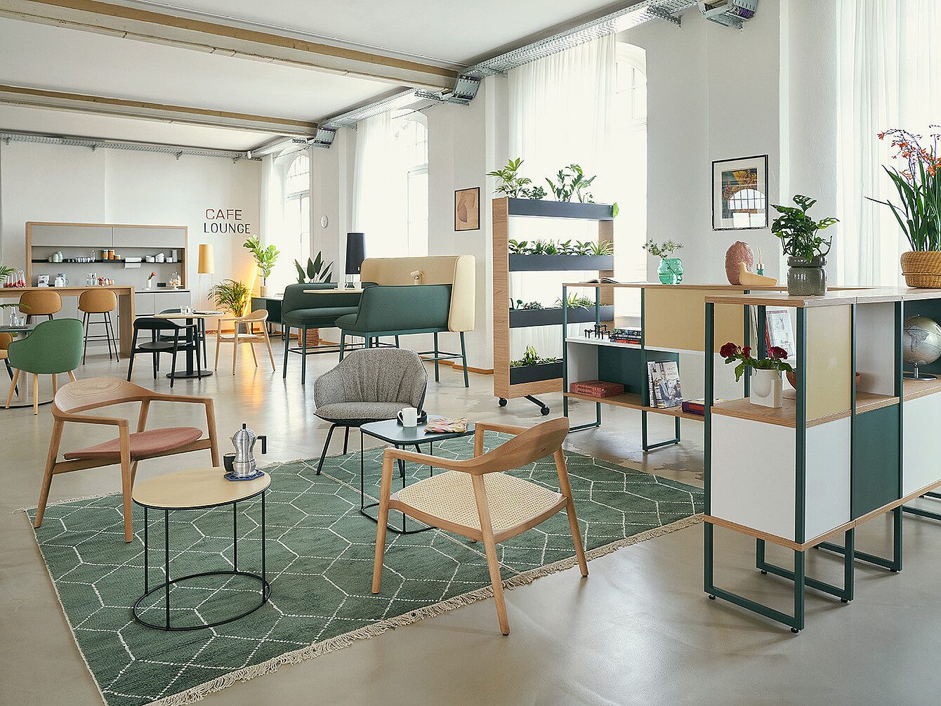 Moderne café-lounge met houten stoelen, kleine tafels, groene planten op planken en een tapijt met geometrisch patroon