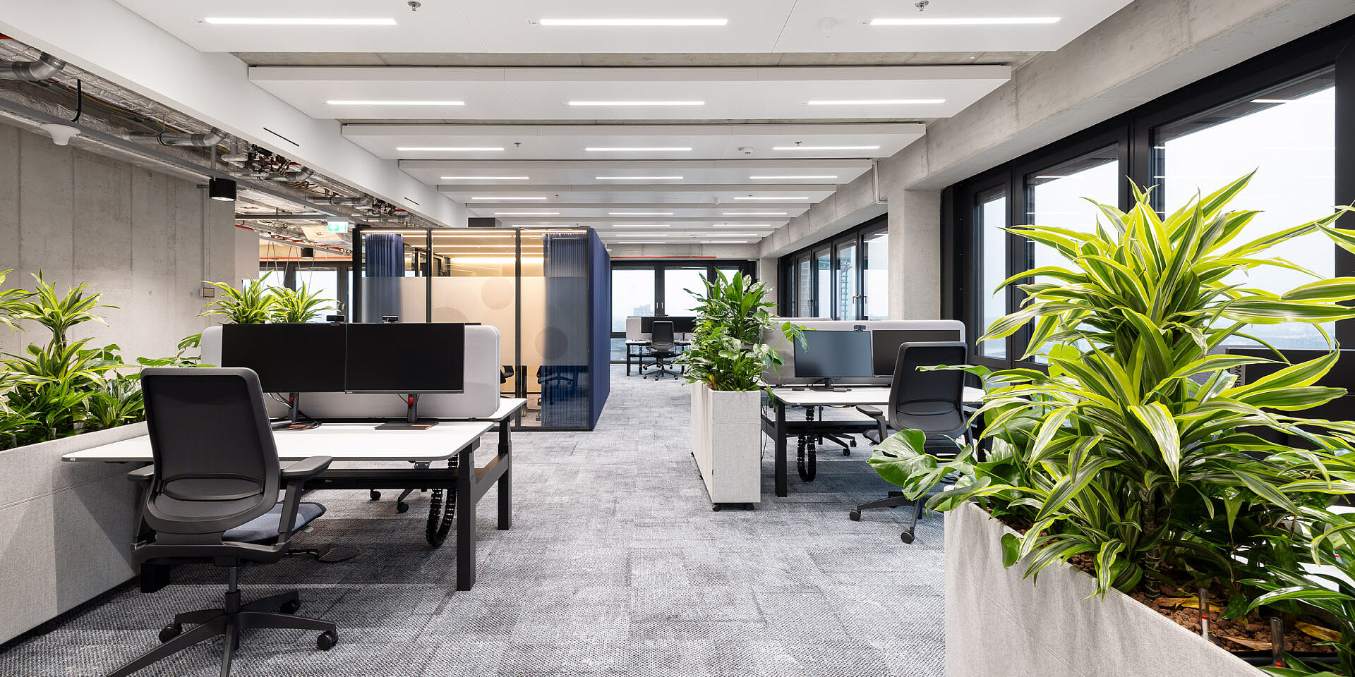 Oficina moderna con escritorios temptation c regulables en altura y sillas giratorias de oficina se:flex, con plantas que separan las áreas de trabajo. 