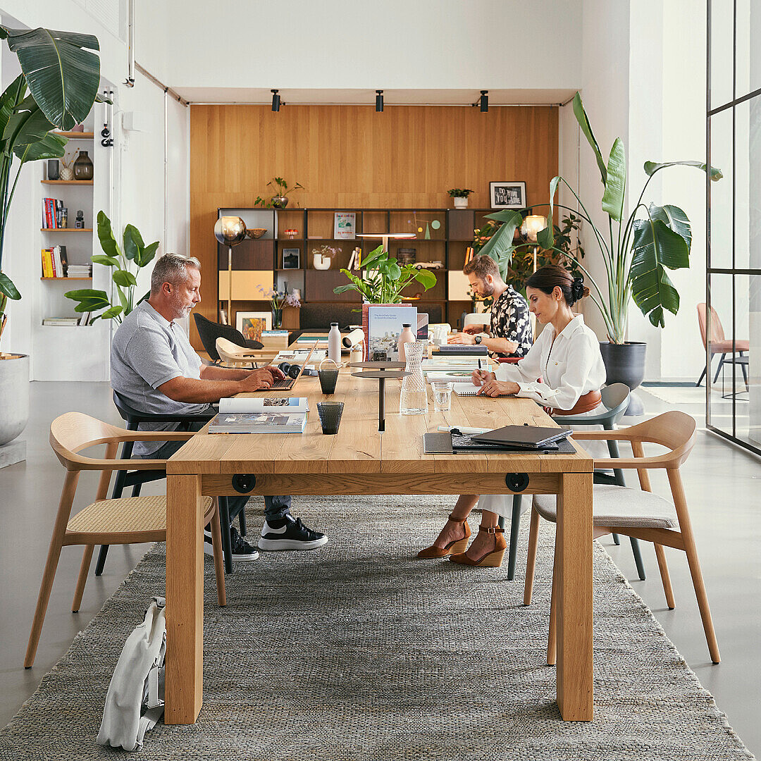 Modern office library with people working quietly at a large wooden table surrounded by plants and shelves, emphasizing a tranquil workspace