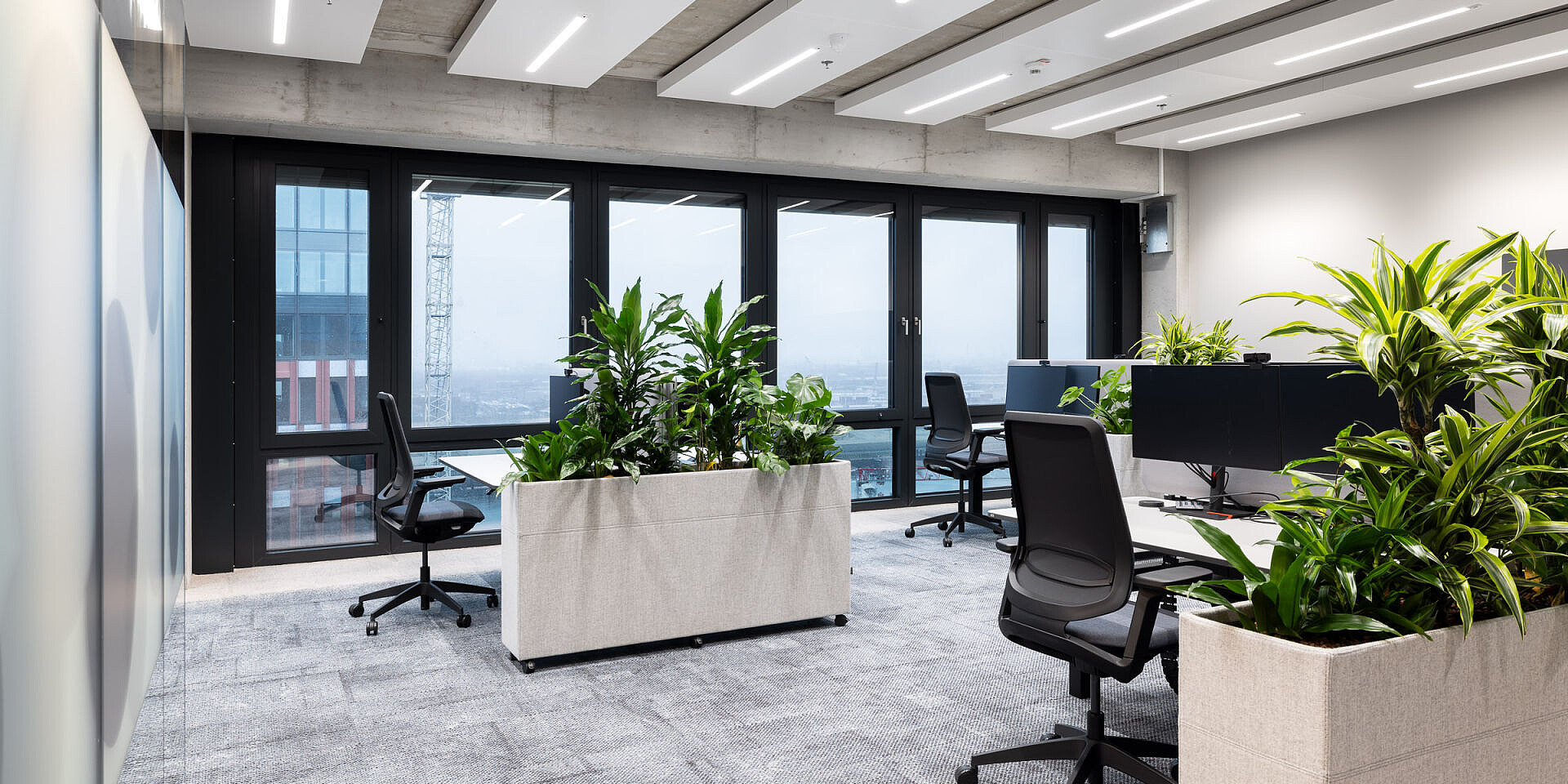 Moderna oficina con escritorios de altura regulable temptation c y sillas giratorias de oficina se:flex, plantas como separadores de espacios y grandes ventanas con vistas a la ciudad. 