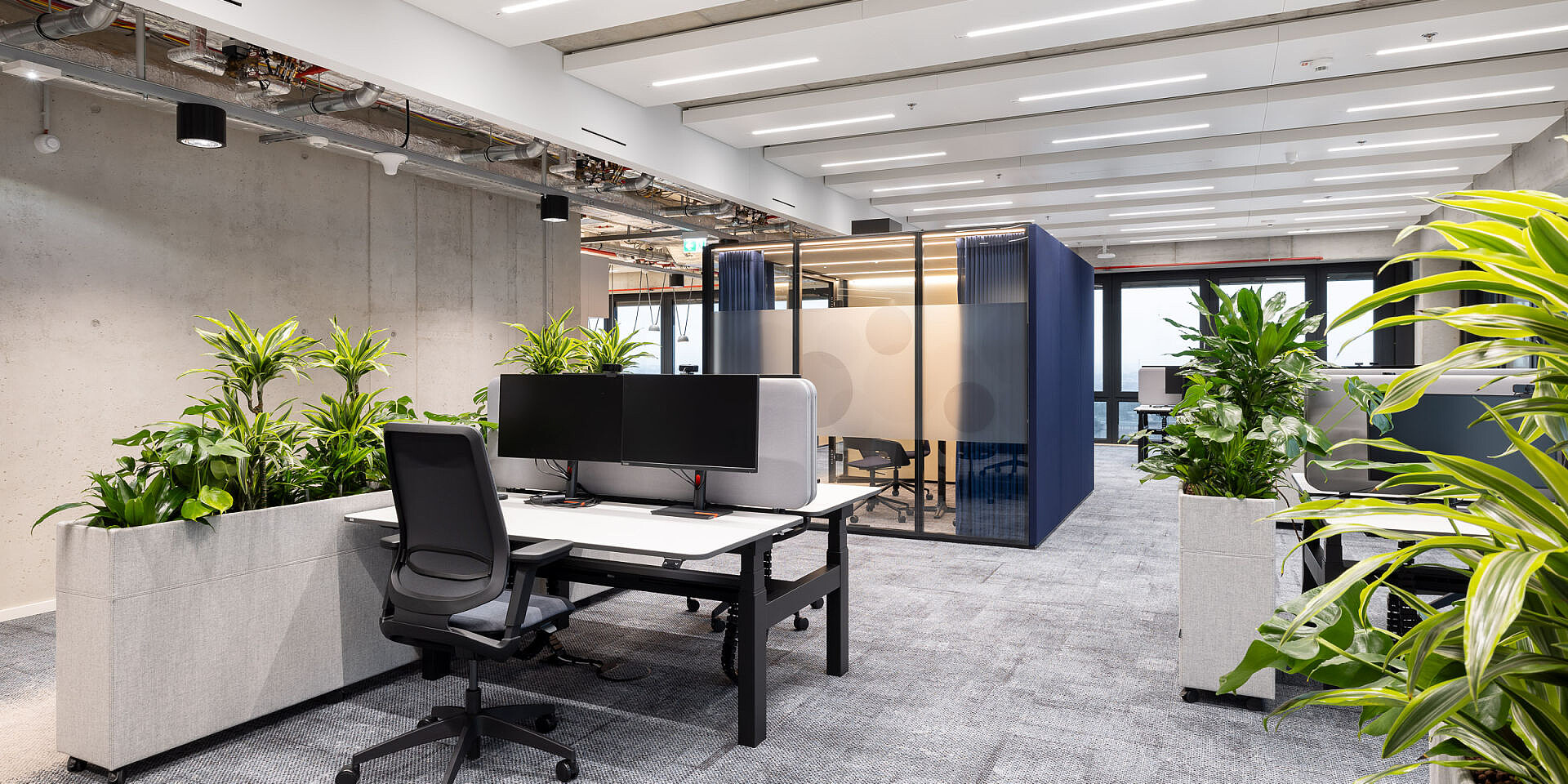 Moderna oficina con escritorios de altura regulable temptation c y sillas giratorias de oficina se:flex, plantas y mamparas para un trabajo ergonómico. 
