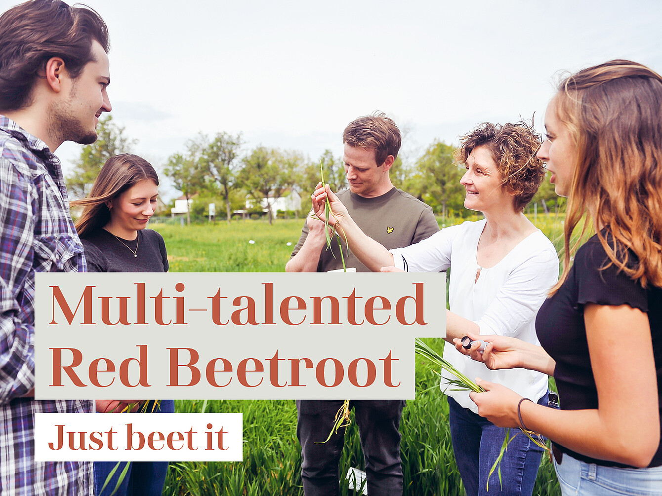 Groupe de personnes debout dans un champ, tenant des betteraves rouges fraîchement récoltées, avec les textes superposés « Multi-talented Red Beetroot » (La betterave rouge aux multiples talents) et « Just beet it » (Il suffit de la manger).
