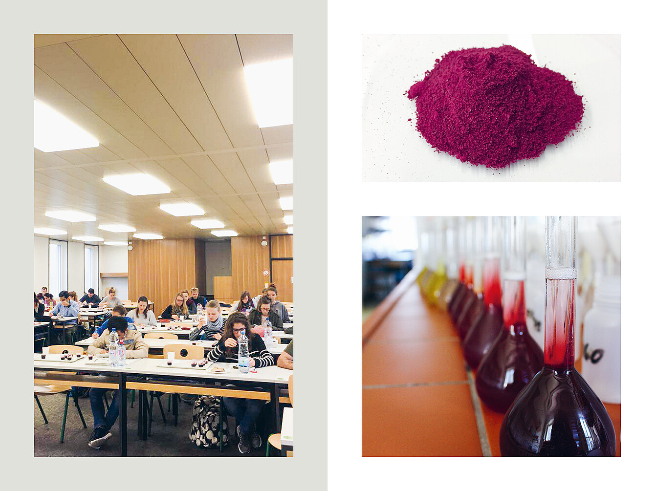 Amphithéâtre avec des étudiants assis à des bureaux utilisant des ordinateurs portables et des cahiers. Tas de poudre de betterave rouge sur une surface blanche. Verrerie de laboratoire avec un liquide rouge foncé dans des flacons disposés en rangée sur un comptoir.