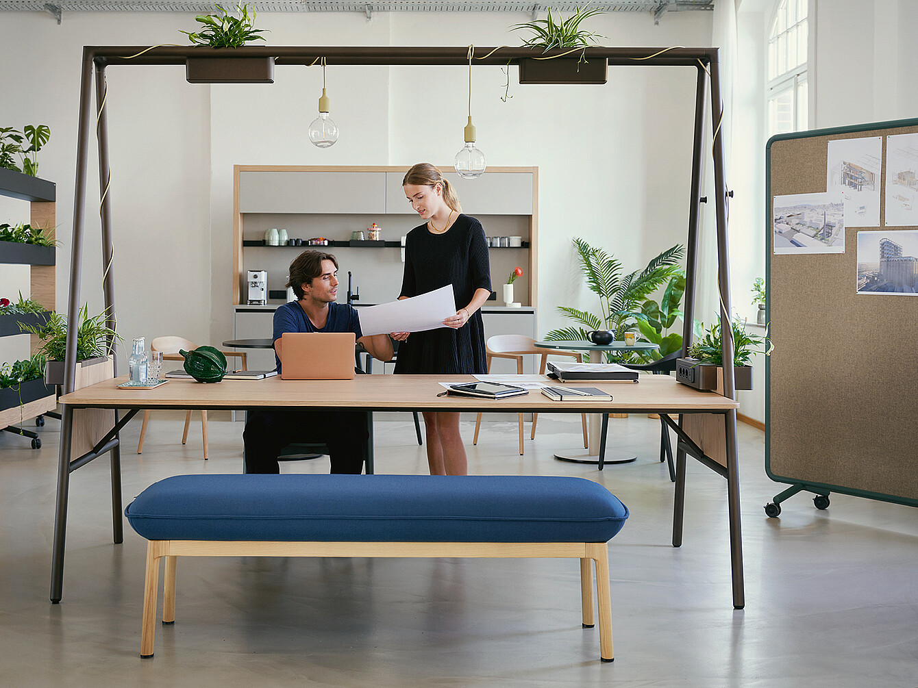 Deux collègues discutent de documents dans un espace de travail lumineux équipé de plantes, de suspensions lumineuses et d’un tableau d’affichage avec des plans architecturaux.