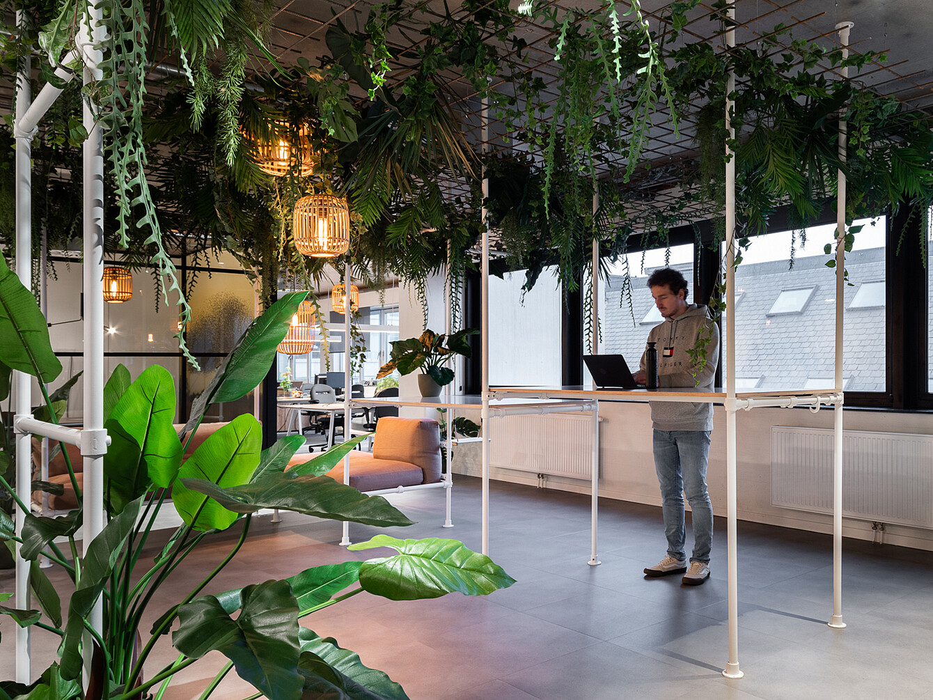Un homme debout, travaillant sur un ordinateur portable à une table haute dans un espace de bureau ouvert, avec des plantes suspendues et de la lumière naturelle