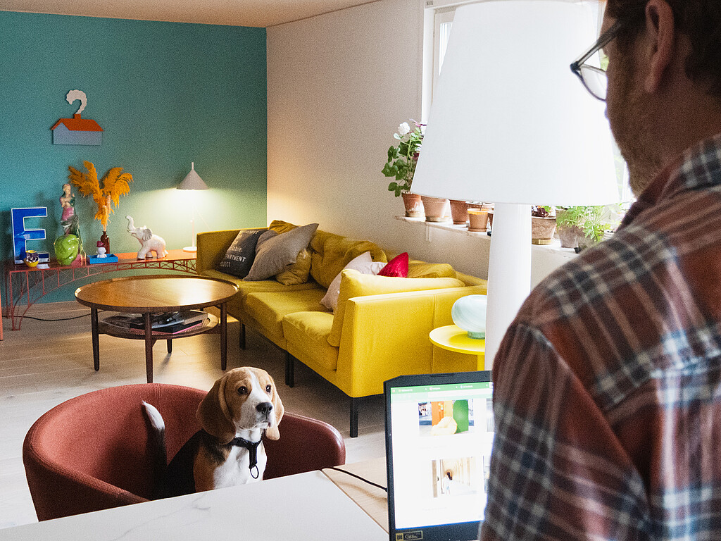 Mann im karierten Hemd arbeitet am Laptop, Hund sitzt auf braunem Sessel, gelbes Sofa und Pflanzen im Hintergrund