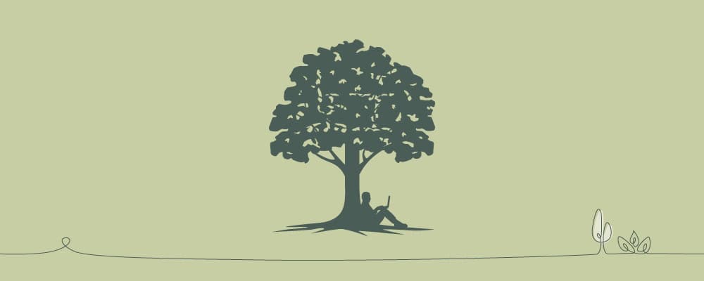 Sustainability has always been in Sedus' DNA