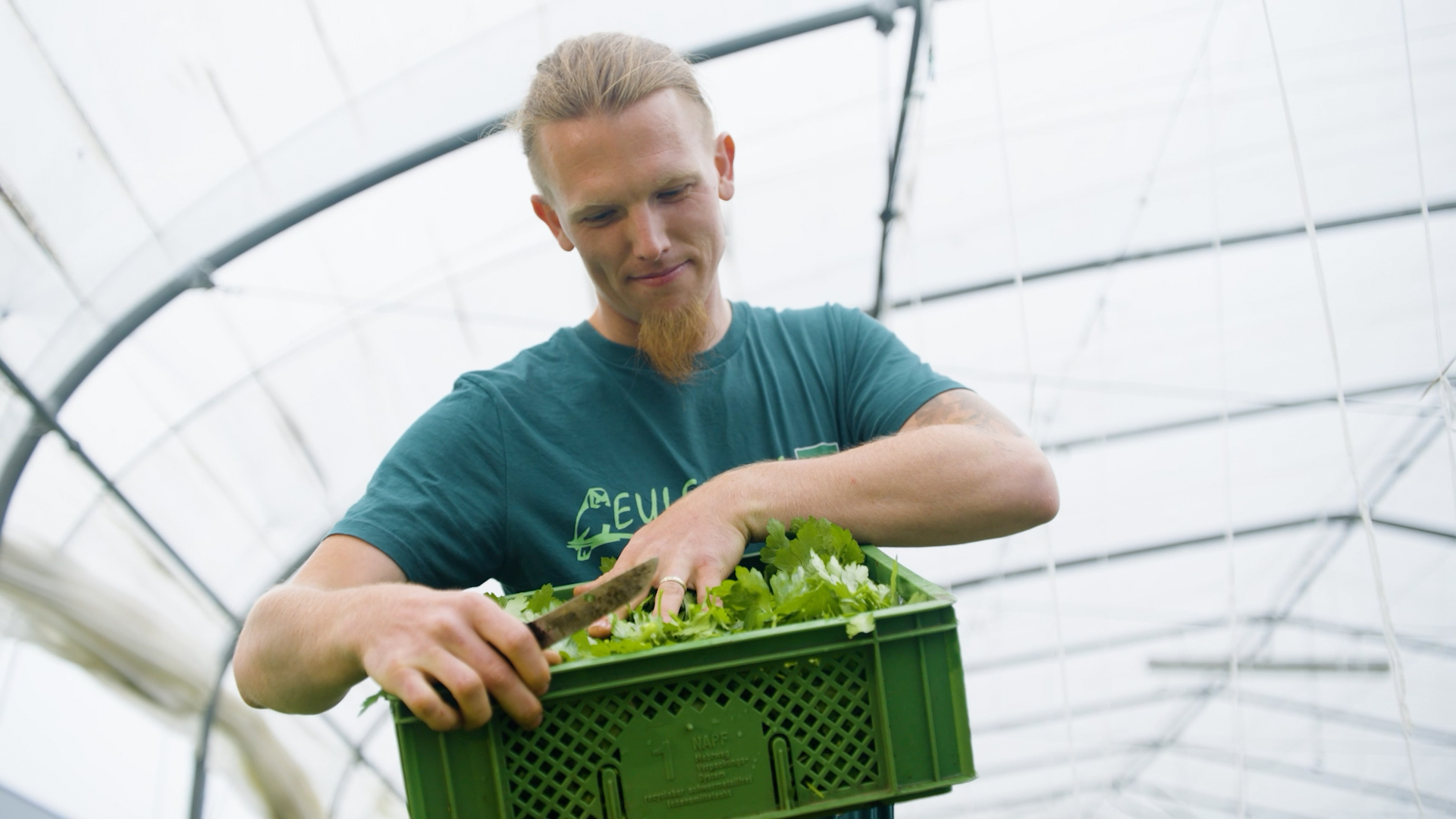 The Eulenhof: a place for sustainability, community and sustainable agriculture
